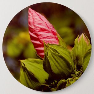 Pink Flower Photo Badge 6 Inch Round Button