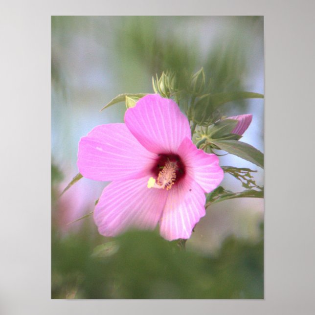 Pink Flower Photo Poster (Front)