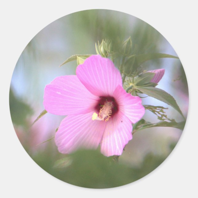 Pink Flower Photo Stickers (Front)