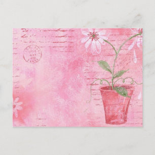 Pink, Flower Postcard