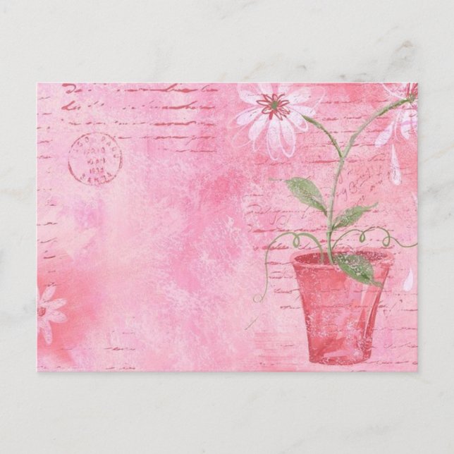 Pink, Flower Postcard (Front)