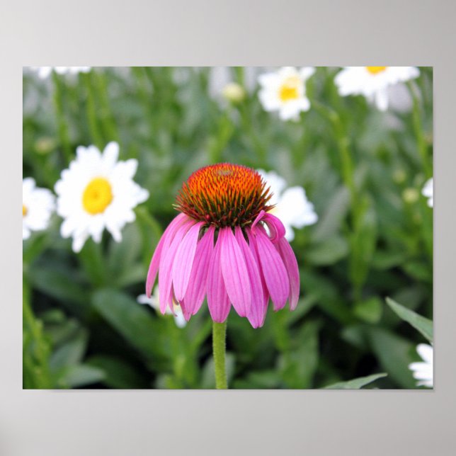 Pink Flower Poster (Front)