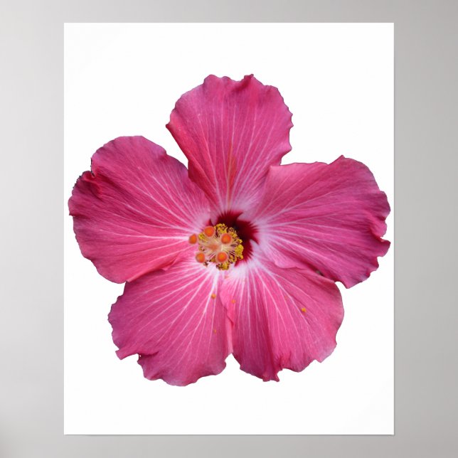 Pink Flower Poster (Front)