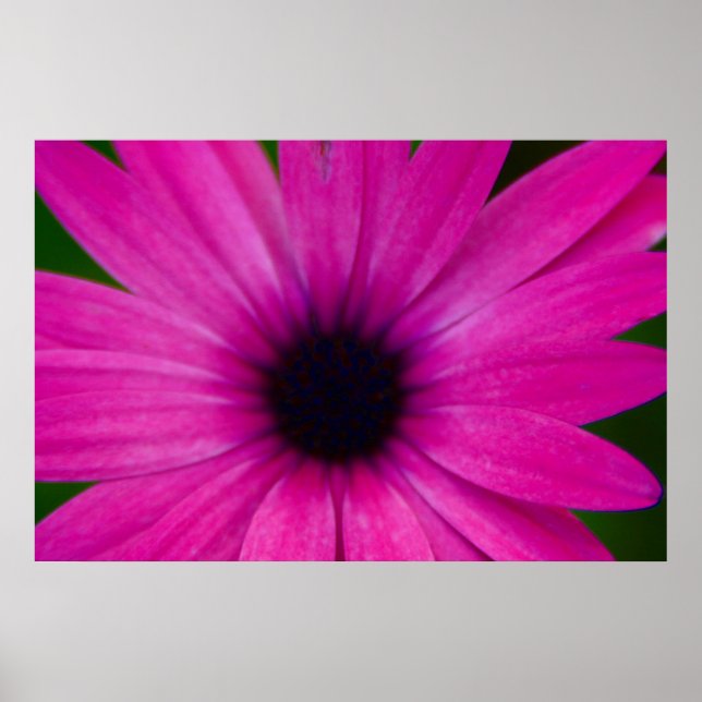 pink flower poster (Front)