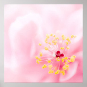 Pink flower poster