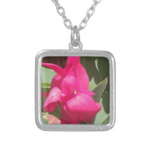 Pink Flower