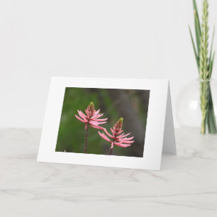 Pink Flower Spikes Nature Photo Blank Card