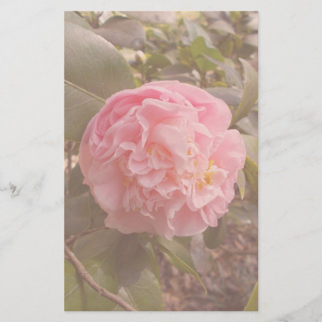 Pink Flower Stationery (Front)
