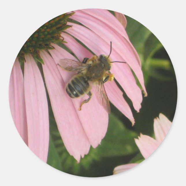 Pink Flower Sticker (Front)