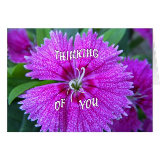 Pink Flower Thinking of You Card
