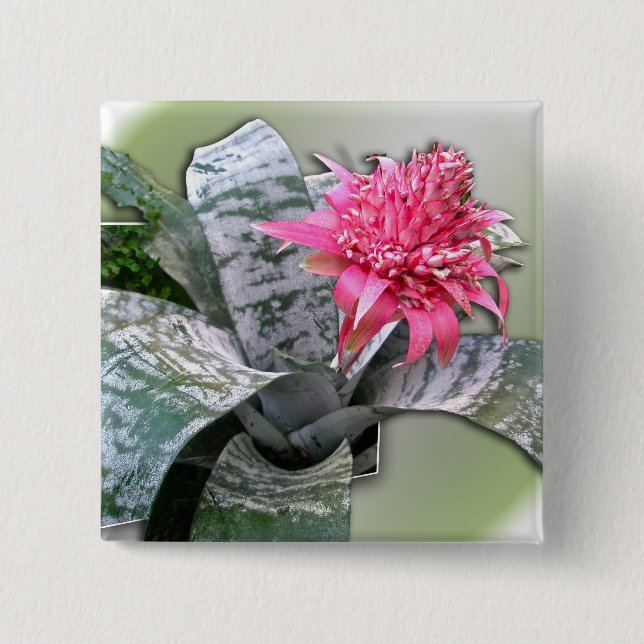 Pink Flowered Bromeliad 2 Inch Square Button (Front)