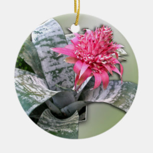 Pink Flowered Bromeliad Ceramic Ornament