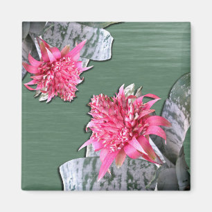 Pink Flowered Bromeliad Magnet
