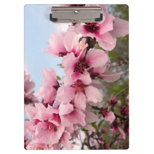 Pink Flowering Branch Clipboard