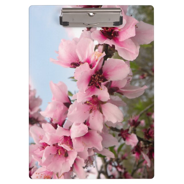 Pink Flowering Branch Clipboard (Front)