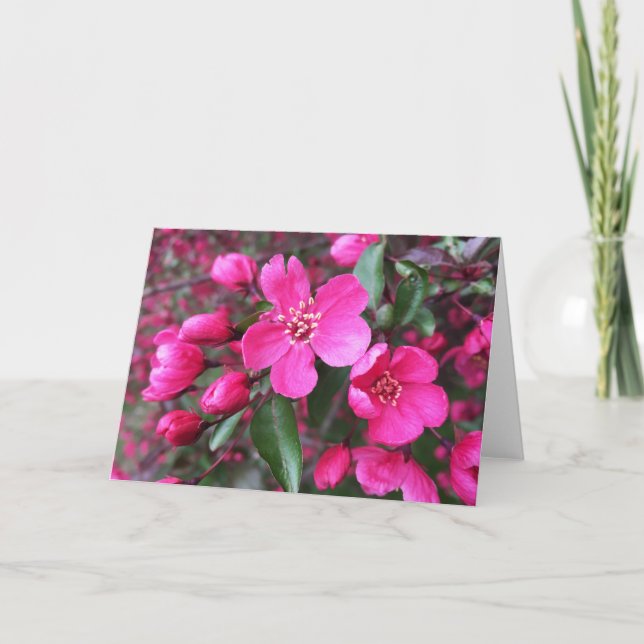 Pink Flowering Crabapple Card (Front)