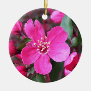 Pink Flowering Crabapple Ceramic Ornament