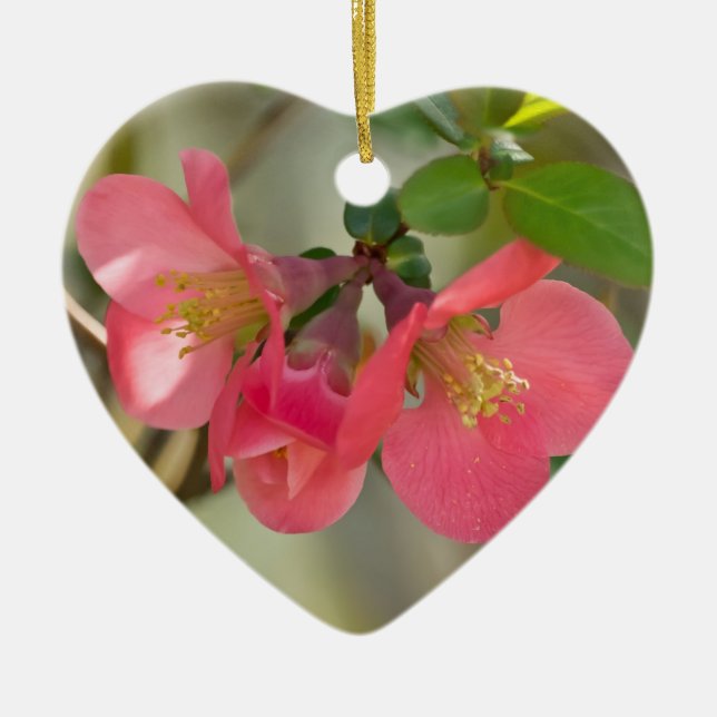 Pink Flowering Quince Glow Ceramic Ornament (Front)