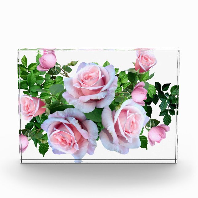 Pink Flowering Rose Photo Block (Front)