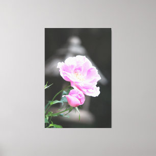 Pink Flowering Roses Canvas Print