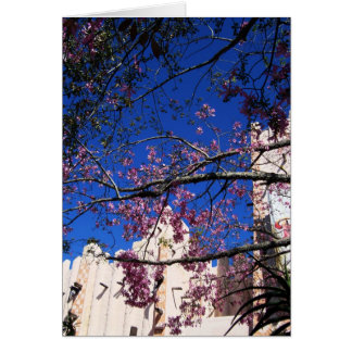 Pink Flowering Tree card