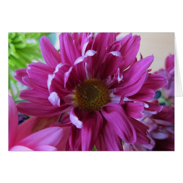 Pink Flowers (Front Horizontal)