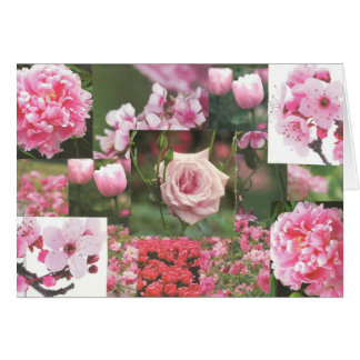Pink Flowers