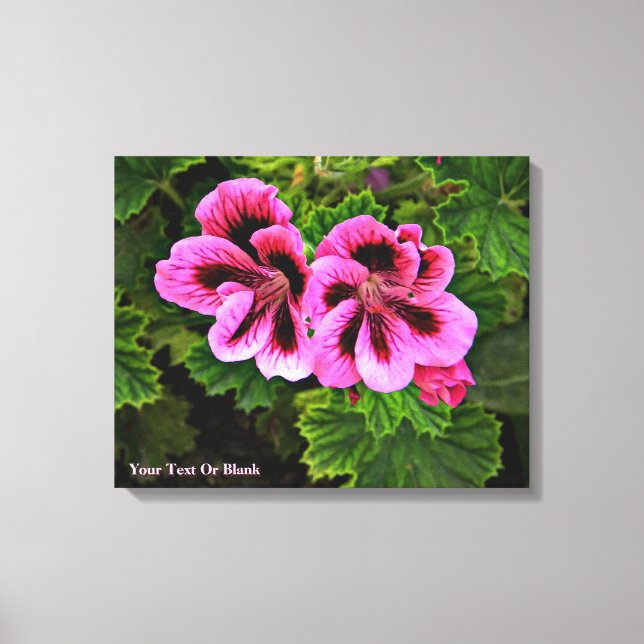 Pink Flowers 1 Canvas Print (Front)