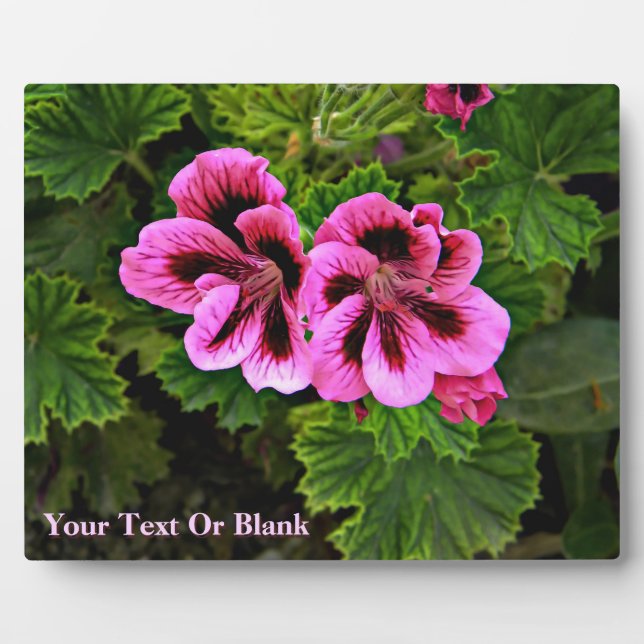 Pink Flowers 1 Plaque (Front)