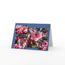 Pink Flowers Any Occasion Greeting Card