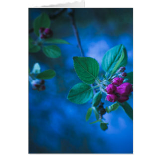 Pink Flowers Card