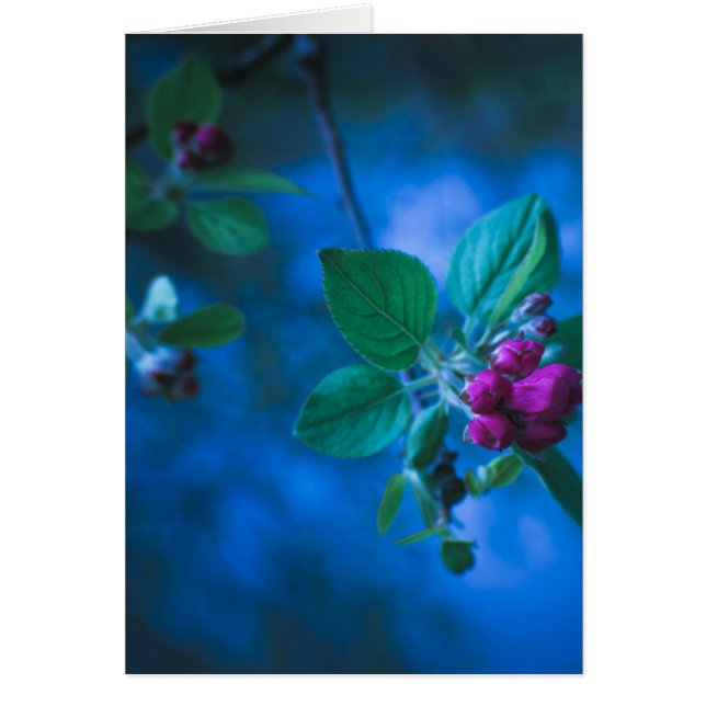 Pink Flowers Card (Front)