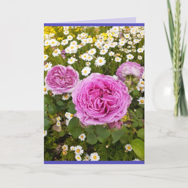 Pink Flowers Floral Rose Roses Daisy Photo Card (Front)