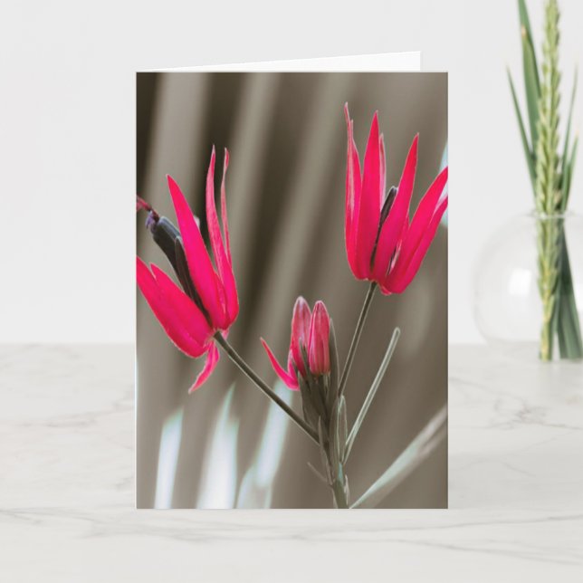 Pink Flowers Holiday Card (Front)