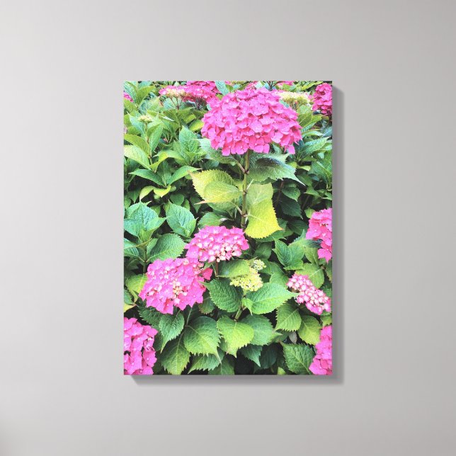 Pink Flowers Hydrangea  Single Print (Front)