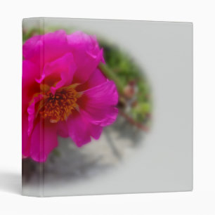 Pink flowers in the sun binder