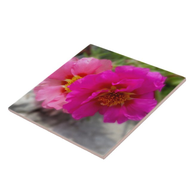 Pink flowers in the sun tile (Side)