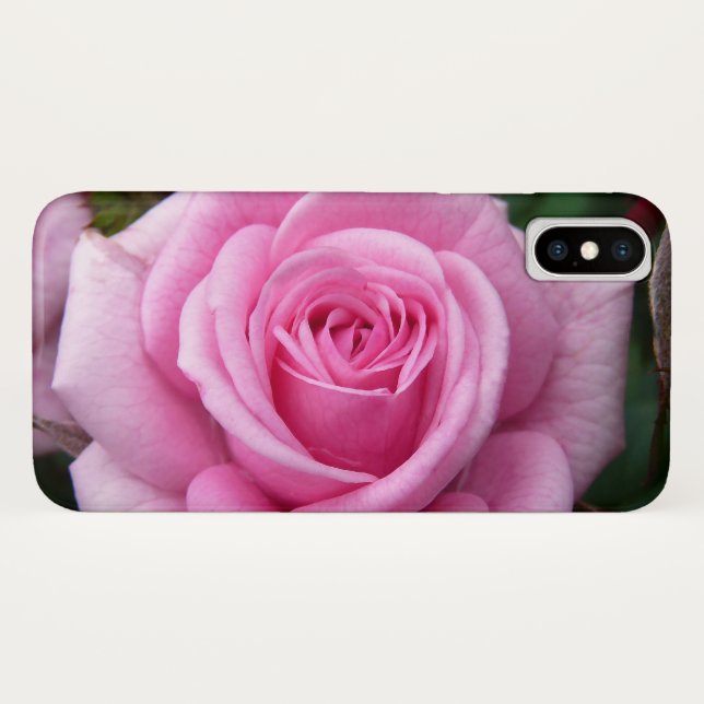 Pink Flowers iPhone Cases Personalized Rose Gifts (Back (Horizontal))