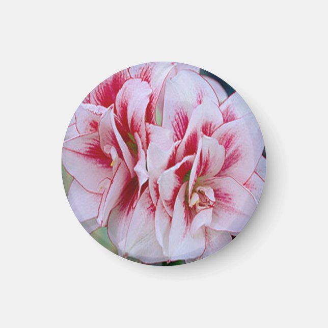 Pink Flowers Magnet (Front)