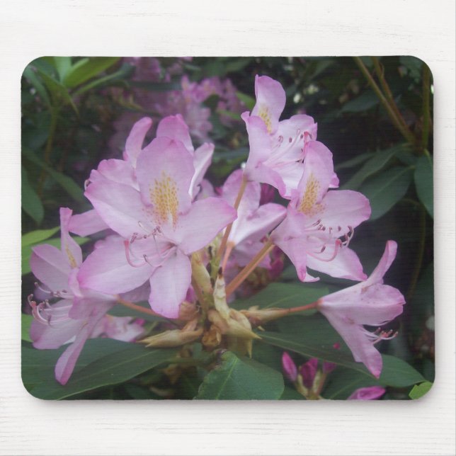 Pink Flowers Mouse Pad (Front)