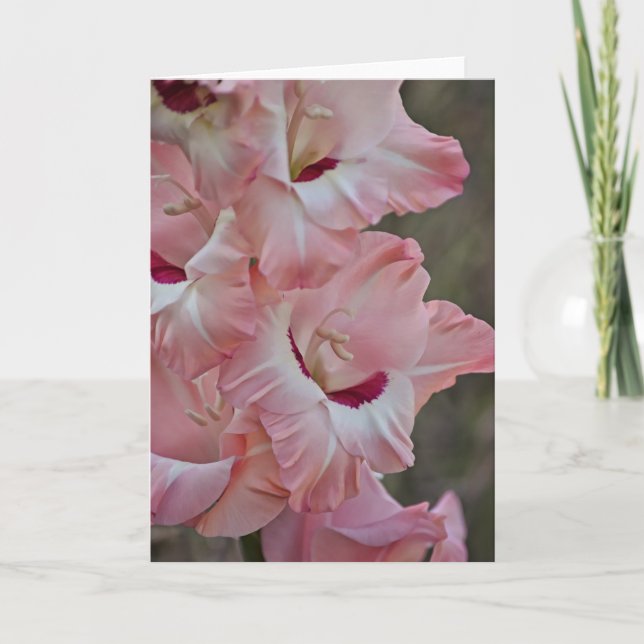 Pink Flowers of Gladiolus Art Note Card (Front)