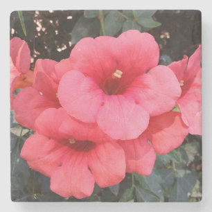 Pink Flowers Photo Marble Stone Coaster