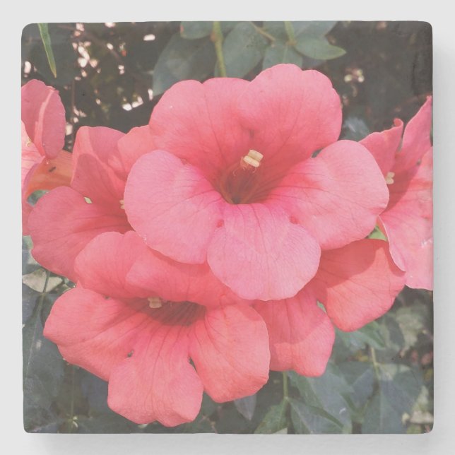 Pink Flowers Photo Marble Stone Coaster (Front)