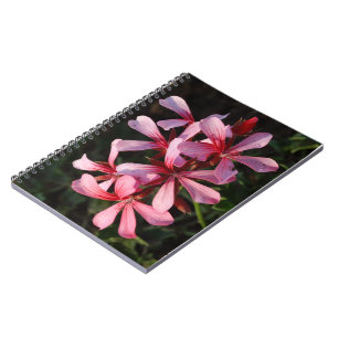 Pink Flowers Photo Notebook (80 Pages B&W)