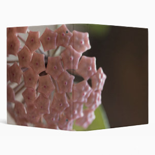 Pink Flowers Photography Binder