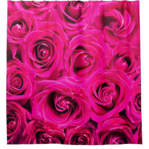 Pink flowers roses background