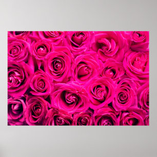 Pink flowers roses background poster
