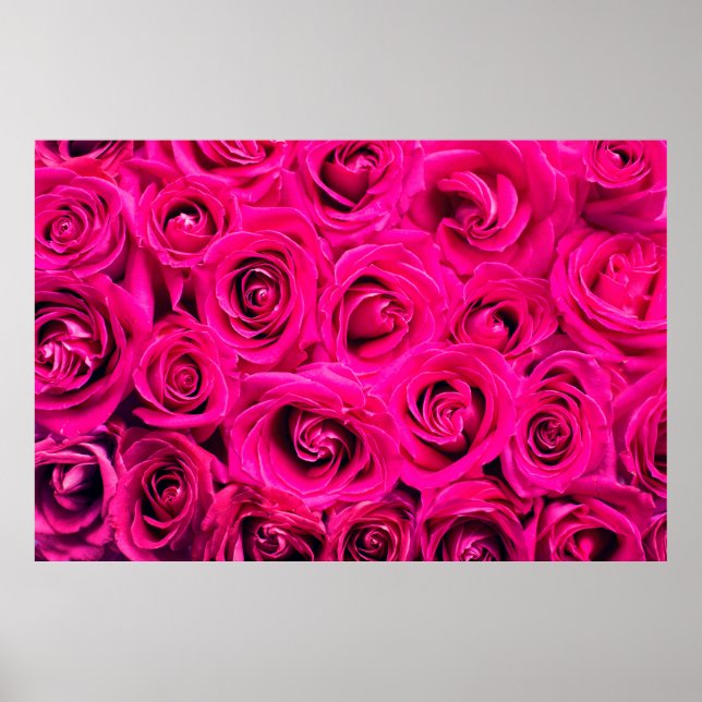 Pink flowers roses background poster (Front)