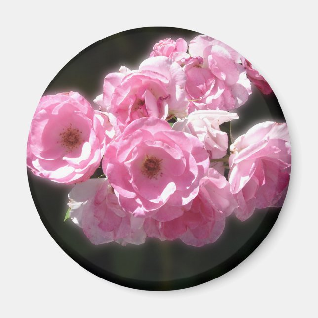 Pink Flowers Standard, 2¼ Inch Round Magnet (Front)