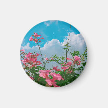 Pink Flowers Under Blue Sky with Clouds - Nature